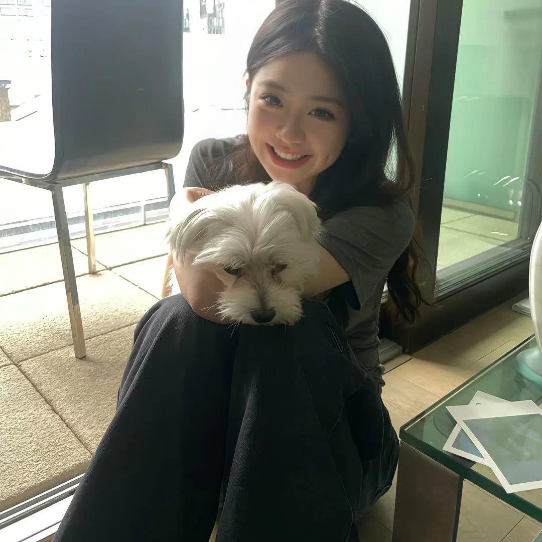 春光灿烂猪八戒2000